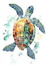 Fototapeta premium Colorful Watercolor Turtle with Splash Background