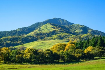 Obraz premium Green hills in Japan, morning, featuring a mountain landscape with trees in autumn colors green yellow orange under a clear blue sky, epitomizing serene natural beauty. SHOTLISTtravel , ai