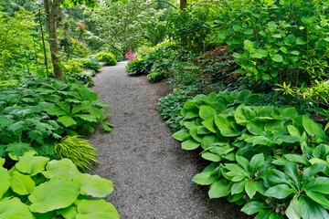 USA, Washington State, Bellevue. Bellevue Botanical Garden, gravel path in garden
