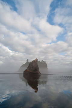 Usa, Washington State, Olympic National Park. Early morning mist and reflections of sea stacks and clouds on Ruby Beach