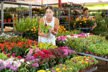 Positive young girl choosing decorative flower in garden-pot in large plants market