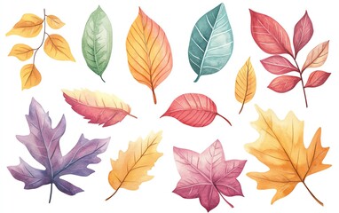 Obraz premium A clipart style watercolor illustration of a Pumpkin patch with various sizes of pumpkins, The background must be plain white to emphasize the illustration