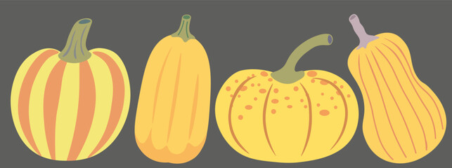 color isolated autumn pumpkins vector illustration set. element for logo sticker poster print design decor backgrounds