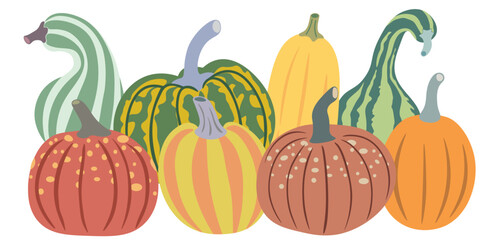 color isolated autumn pumpkins vector illustration set. element for logo sticker poster print design decor backgrounds