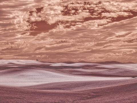 USA, Washington State. Infrared image of rolling wheat fields with sunshine across the field.