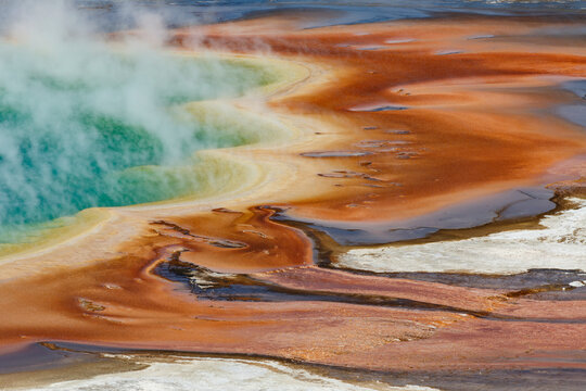 Elevated view of Grand Prismatic Spring, the largest in the U.S. and third largest in the world, Midway Geyser Basin, Yellowstone National Park, Wyoming