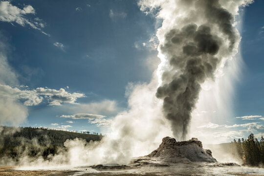 Castle Geyser erupting, Upper Geyser Basin, Yellowstone National Park, Wyoming