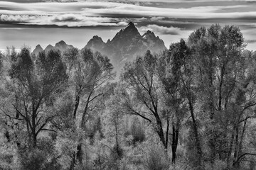 USA, Wyoming. Buffalo Valley Road and Buffalo Fork River with Autumn Colors on cottonwood trees and backdrop of the Teton Mountains