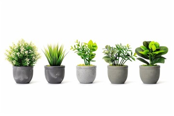 Fototapeta premium Vibrant assortment of potted plants arranged on a minimalist table, showcasing a variety of textures and greenery in a bright, modern setting