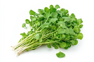 Fototapeta premium A bunch of fresh watercress with vibrant green leaves, commonly used in salads and dishes.