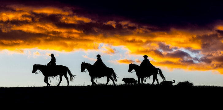 USA, Wyoming, Shell. Hideout Ranch, Big Horn Mountain Range