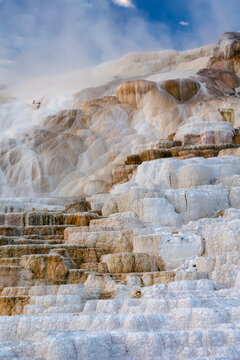 Mammoth Hot Springs, Main Terrace, Yellowstone National Park, Wyoming, USA