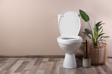 White toilet bowl and houseplant near beige wall indoors, space for text