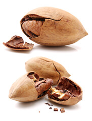 Peeled pecan nuts closeup, isolated on white background