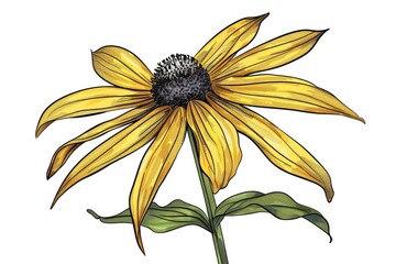 A single yellow flower sits on a clean white background, perfect for illustration or design purposes