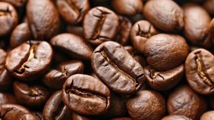 Fototapeta premium Origin of coffee beans that are roasted