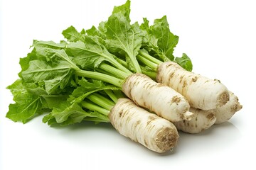 A bunch of fresh horseradish roots with green leaves.