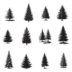 set of pine trees silhouettes on white	