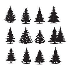 set of pine trees silhouettes on white	
