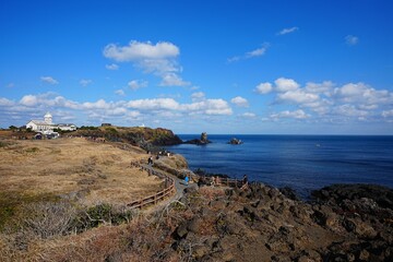 fine view with seaside walkway