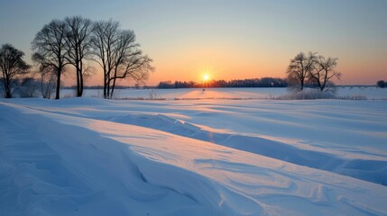 Naklejka premium Sunset Over Snow-Covered Field with Silhouetted Trees
