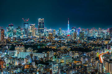 Fototapeta premium 日本の首都東京の夜景