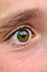 Fototapeta premium Hazel eyes