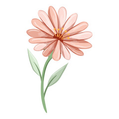 Watercolor Flower and Leaf Illustration