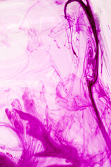 abstract background of pink and purple ink splashing on white background