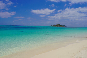 Fototapeta premium beach with coconut trees