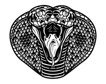 Cobra | Wild Animal | Cobra Head | Wildlife | Snake | Cobra Snake | Serpent | Forest Predator Animal | Original Illustration | Vector and Clipart | Cutfile and Stencil
