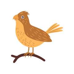 Cute Brown Eagle Hawk Falcon Bird Animal Cartoon Character Perched on Tree Branch