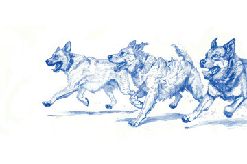 Obraz premium Running dogs sketch art