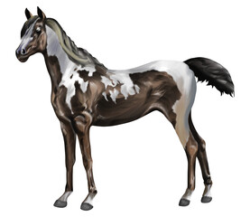 Watercolor painting of horse isolated on transparent background.