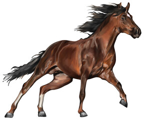 Watercolor painting of horse free running isolated on transparent background. © somwut