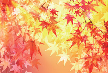 Fototapeta premium 紅葉 葉 秋 背景 