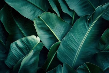 Abstract bold green leaves texture background, elegant tropical banana leaf details, nature wallpaper, vintage tone, deep shading, foliage, ecology concept, dark moody feel. refined, elegance. , ai