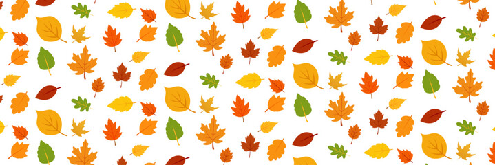 seamless pattern autumn leaves. Fall maple tree leaf. vector