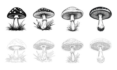 Black and white mushrooms set. Outline design. Decorative style collection hand-drawn