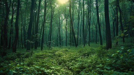 Fototapeta premium Dark woods, very dense, green. Generative AI.