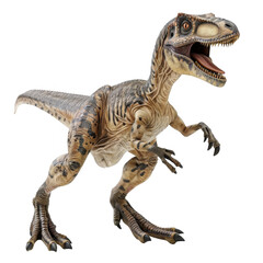 Fototapeta premium Velociraptor Isolated on a Transparent Background