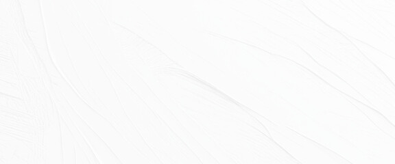Vector white background texture design and white wall texture background.
