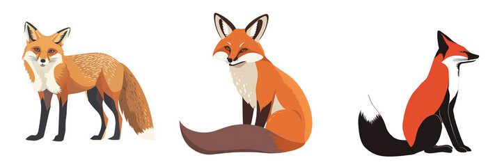 Obraz premium Three Cartoon Foxes Isolated on White Background, fox, animal, wildlife, illustration