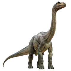 Obraz premium Brachiosaurus Isolated on a Transparent Background