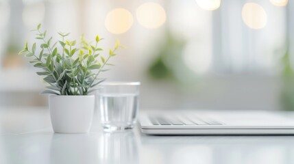 Fototapeta premium Modern workspace with greenery, a small potted plant brightening a sleek desk, a glass of water reflecting light, a laptop inviting productivity in a serene atmosphere