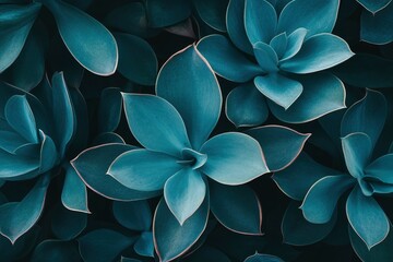 Beautiful plant images, very suitable for use as cell phone wallpaper, ai