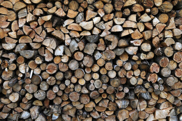 A pile of firewood stacked and prepared for winter.