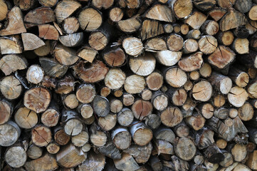 A pile of firewood stacked and prepared for winter.