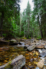 Mountain streams and waterfalls