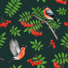 Bullfinch birds with rowan tree elements seamless pattern. Watercolor vintage style illustration. Hand drawn rowan red ripe berries, leaf, forest birds seamless pattern design on dark background